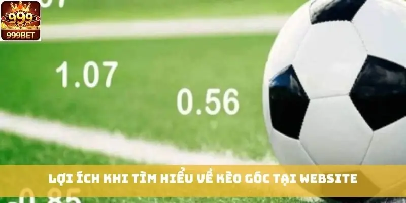 Lợi ích khi tìm hiểu về kèo góc tại website